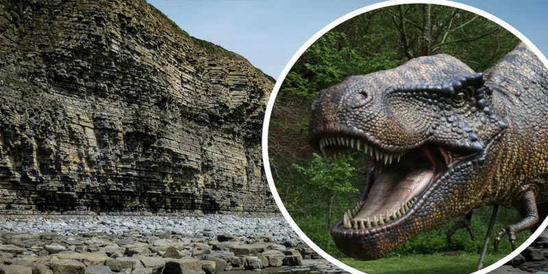 Mammal Preys on Dinosaur: Extraordinary Fossil Find