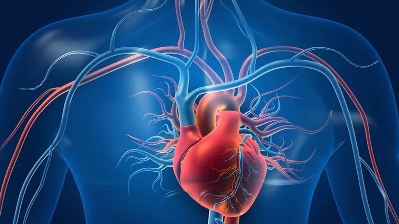 Revised Chronic Heart Disease Guidelines: GDMT, Imaging, Revascularization
