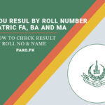 AIOU Result 2023 By Roll Number