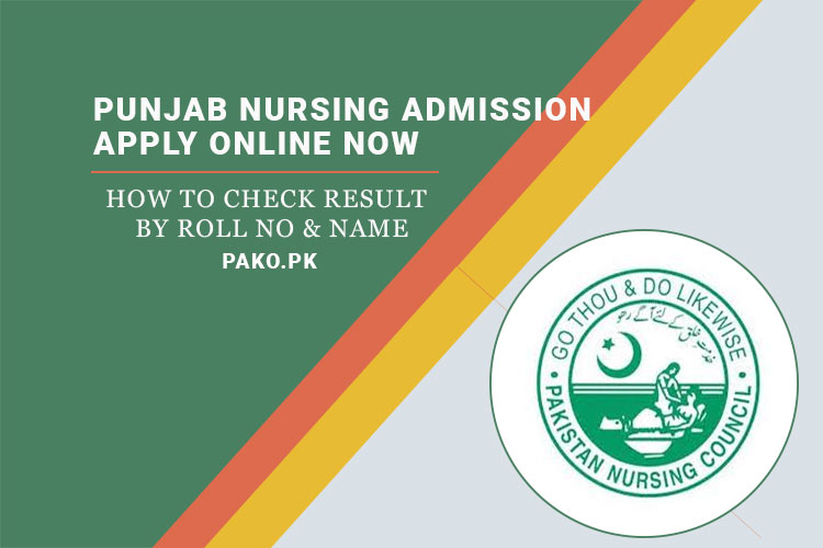 Punjab-Nursing-Admission-23
