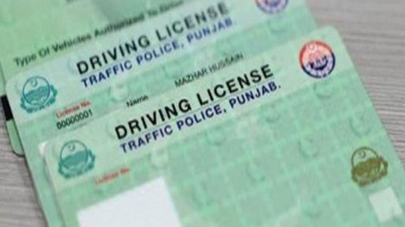 Master the E-Sign Test: Your Key to a Driving License in Punjab!