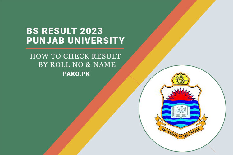 BSC Part 1 Result 2023 Punjab University