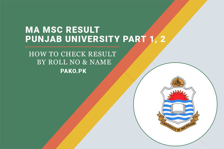 MA MSC Result 2023 Punjab University Part 1, 2