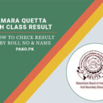 hamara quetta result 8th class 2023