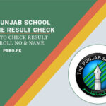 The Punjab School Online Result 2024 Nursery to 8th Class