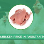 1 Kg Chicken Price in Pakistan Today